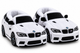 BMW E60 M5 VroomPaws Slippers